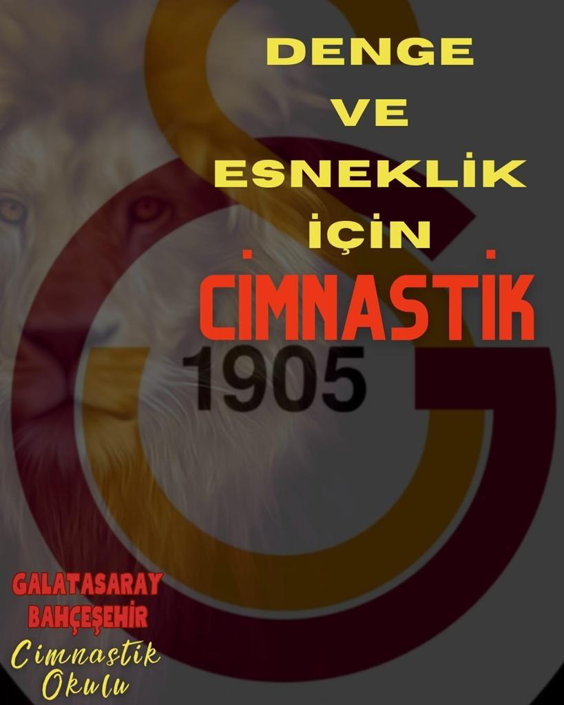 Galatasaray Cimnastik Bahçeşehir Spor Okulu